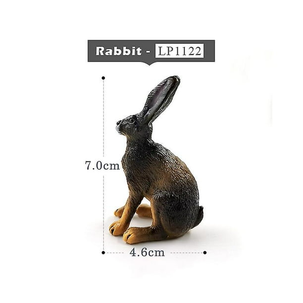 Rabbit lizard sale