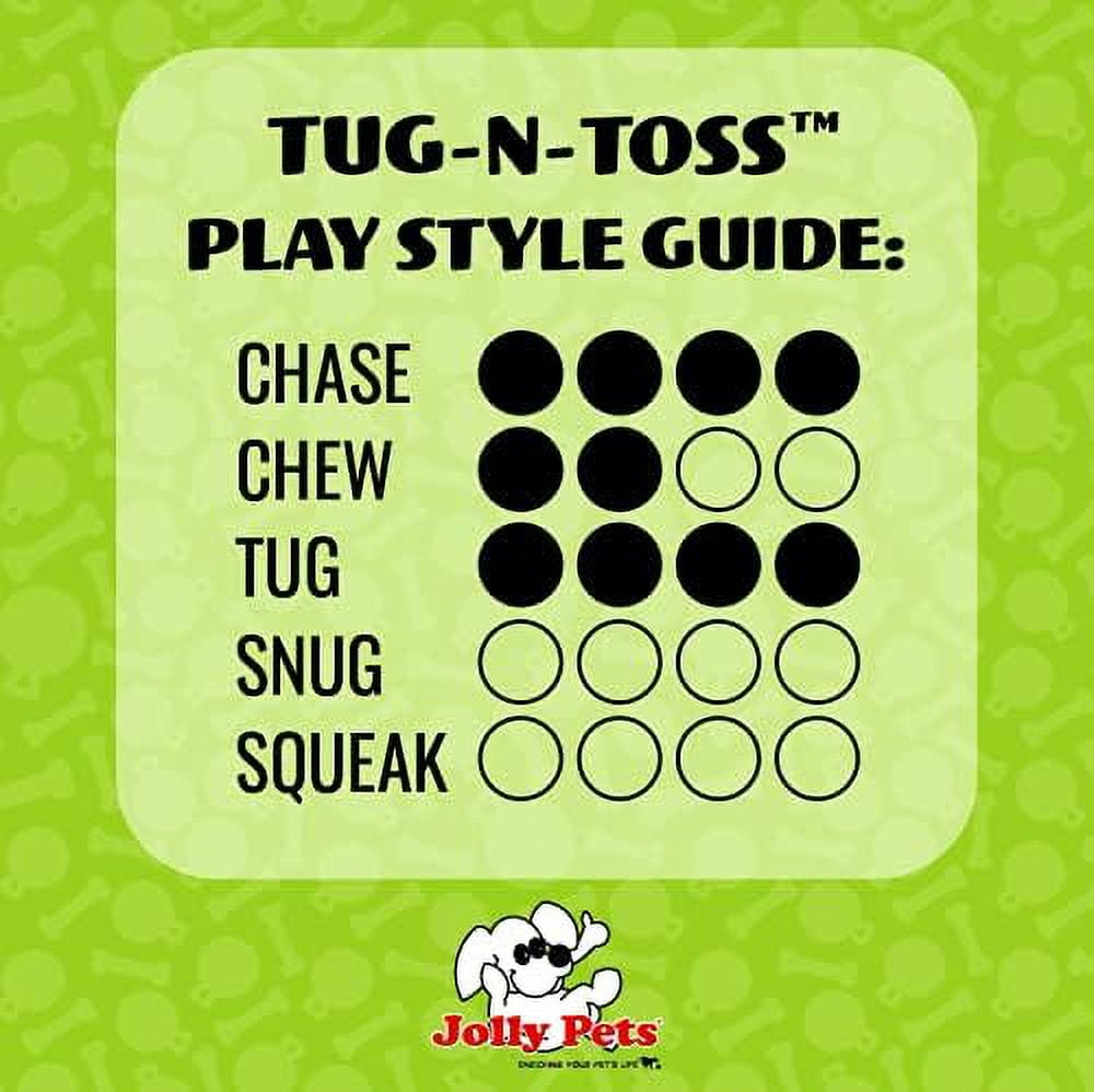 Jolly Pets Tug-N-Toss 10 inch Purple Rubber Ball with Handle Chew Toy for Dogs