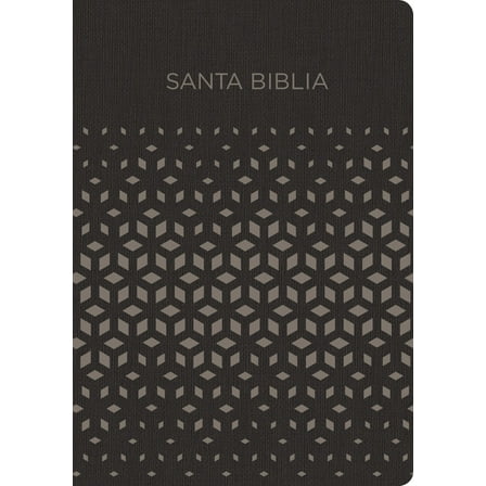 RVR 1960 Biblia para Regalos y Premios, Negro/plata Símil Piel (Hardcover)