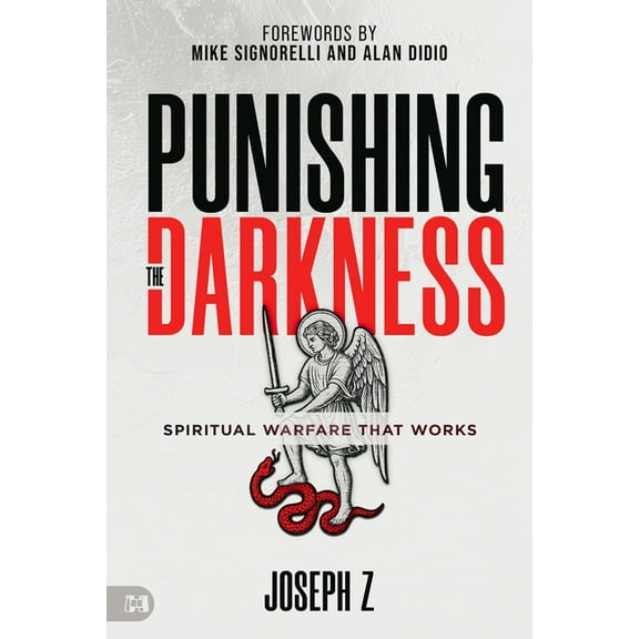 Punishing the Darkness: Spiritual Warfare That Works, (Paperback)