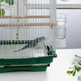 Zynic Automatic Bird Feeder Bird Parrots Automatic Feeding Clear Food
