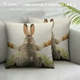 thumbnail image 3 of ONETECH  Throw Pillow Case Cover Grey Rabbit Isolated on A White Background Bunny Tail Back - Soft Pillow Case for Decorative Bedroom/Livingroom/Sofa/Farm House - Cushion Covers, 3 of 5