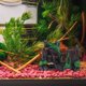 thumbnail image 4 of unbranded Para Acuario Con Castillo De Resina Duradero Y Único Para Acuático, 4 of 6