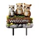 thumbnail image 1 of Maceta Decorativa Macetas Accesorios De Jardín Maceta Acrílica Para Tu Hogar O Jardín Decoraciones Para Macetas, 1 of 5