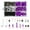 Purple, variant on Purple Fairing Bolts Screws Bodywork Kit For Yamaha YZF R6 R1 R3 R25 FZ07 FZ09