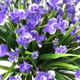 thumbnail image 5 of Veballensty Artificial Flowers for Outdoor Decoration, Spring Decoration UV Resistant Faux Outdoor Plastic Greenery Shrubs Plants Artificial Fake Flowers Hanging Planter Home Garden Decor Purple, 5 of 6