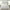 White, variant on Homthreads by Levtex Home - Rowan Quilt Set - Full/Queen Quilt and Two Standard Shams - Diamond Quilted - White Crinkle - Quilt (88x92in.) and Shams (20x26in.) - Reversible - Polyester