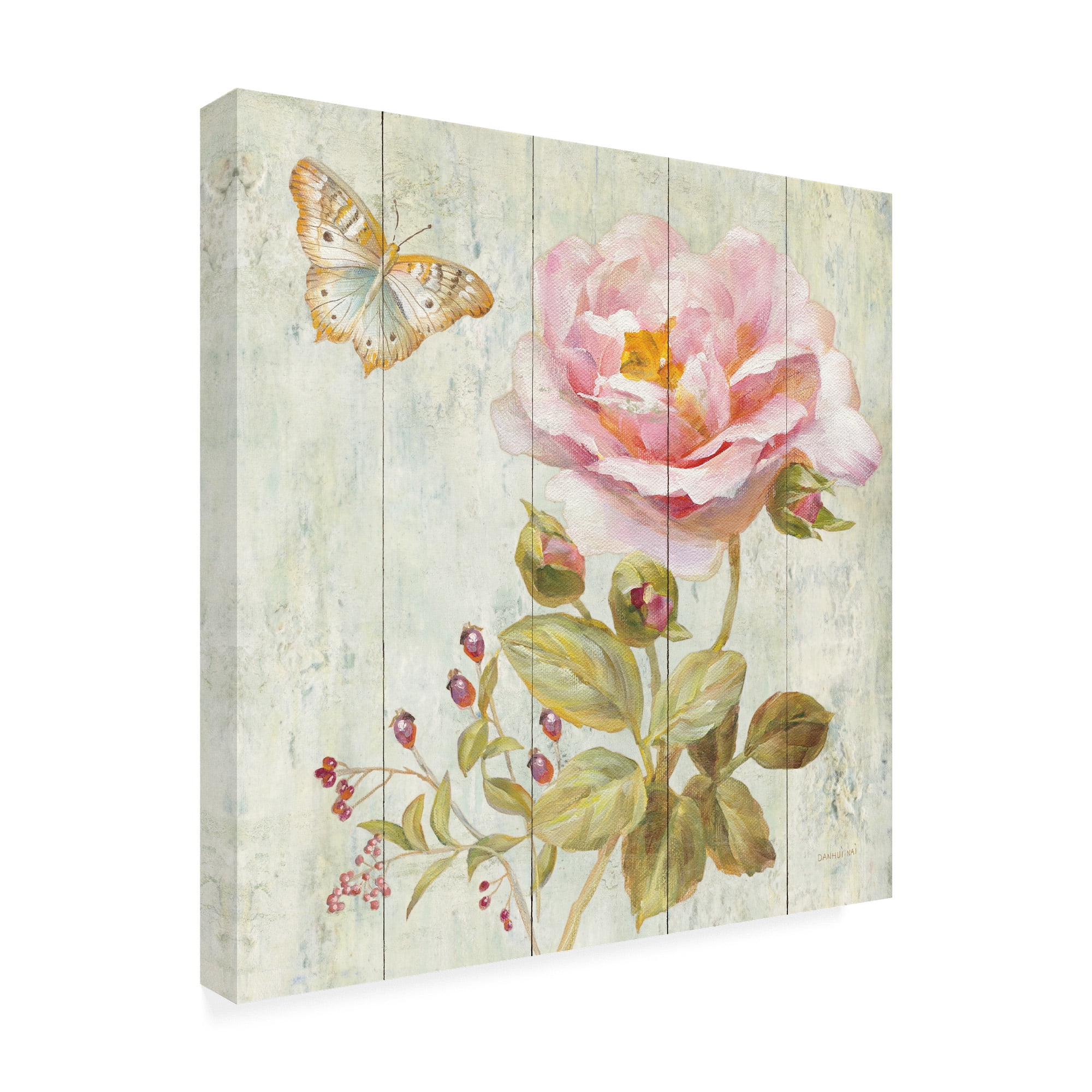 Trademark Fine Art 'Natural Flora II' Canvas Art by Danhui Nai