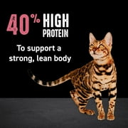 Crave Grain Free Indoor Natural Dry Cat Food With High Protein From Chicken & Salmon, 10 Lb. Bag
