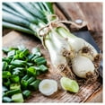 thumbnail image 3 of Everwilde Farms - 1 oz Evergreen White Bunching Onion Seeds - Gold Vault Bulk Seed Packet, 3 of 3