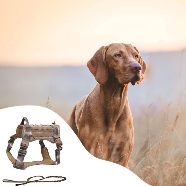 Arnés para perros Salvador ajustable Gancho extraíble Chaleco ligero resistente Camuflaje XL