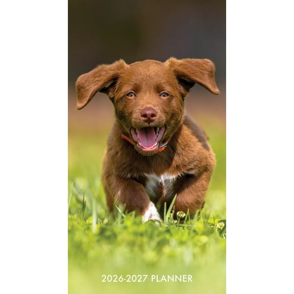 Puppy Love 2-Year 2026-27 3.5 X 6.5 Monthly Pocket Planner, (Paperback)
