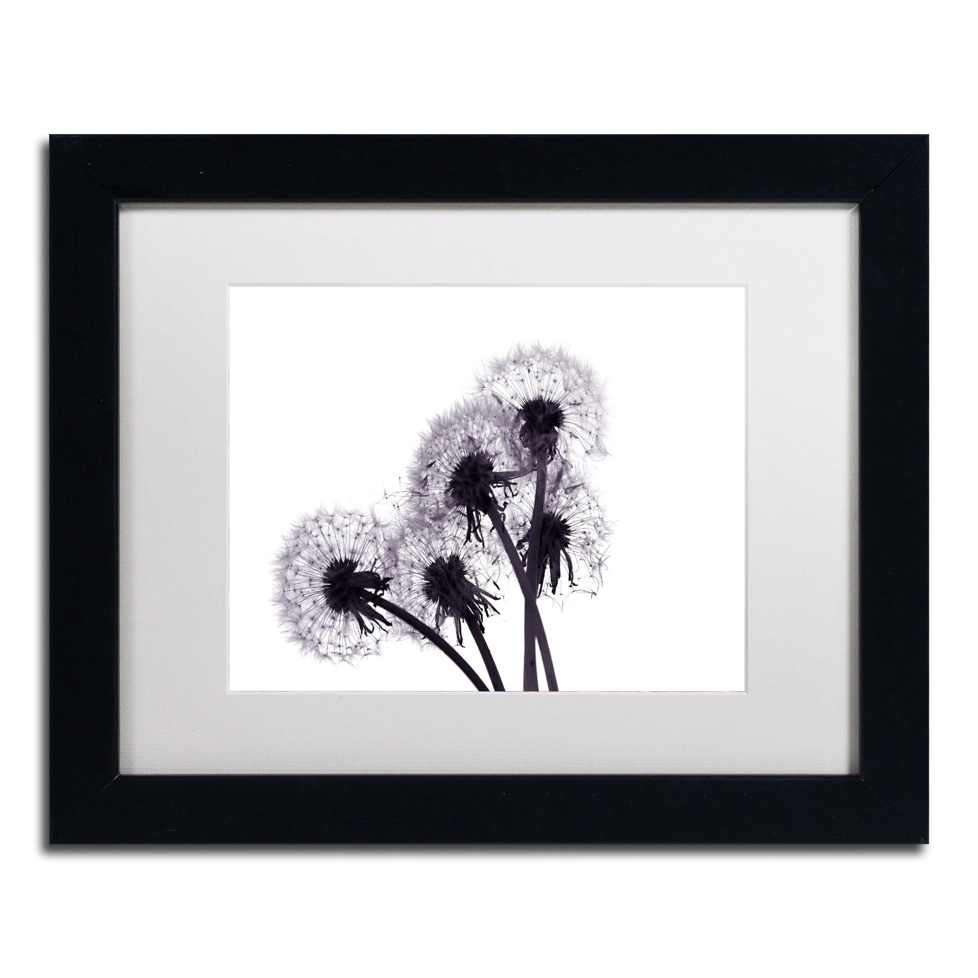 Trademark Fine Art "Bunch of Wishes" Canvas Art by Beata Czyzowska Young, White Matte, Black Frame