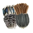 thumbnail image 3 of Tachiuwa Crafts Feathers Artificial Feather Decorative Art Supplies Ornament Colorful Feathers Handicraft Accessories for DIY Crafting 40pcs, 3 of 9
