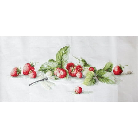 UPC: 4840746012846 | Etude with Strawberries B2254L Counted Cross-Stitch Kit