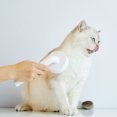thumbnail image 3 of Cepillo para Perros y Gatos, para Eliminar Eficazmente el Pelo Muerto y el Pelo Tomentoso, Apto para Perros Gatos Pelo Corto y Largo Zefei Wu  9024735042808, 3 of 5