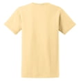 thumbnail image 2 of University of North Carolina Pembroke Braves Classic Arch T-Shirt, 2 of 4