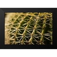 thumbnail image 2 of Berzel, Erin 14x11 Black Modern Framed Museum Art Print Titled - Cactus Detail I, 2 of 5