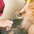 thumbnail image 5 of ZOUYUE Titanium Coated Professional 6 in 1 4CR Stainless Steel Dog Grooming Scissors with Safety Round Tip,Heavy Duty Pet Grooming Scissor for Dogs,Cats and Other Animals, 5 of 7