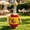 D, variant on Yardvibe 2026 World Soccer Porch Goose Outfit for 30" Lawn Statue, National Flag Porch Goose Clothe for Sports Fan, Duch Clothes for Outdoor Garden Yard Patio Pathway Decor (G)