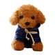 thumbnail image 1 of FELTECHELECTR Peluche de caniche de imitación de 25 cm para niños (marrón y color de ropa al azar), 1 of 7