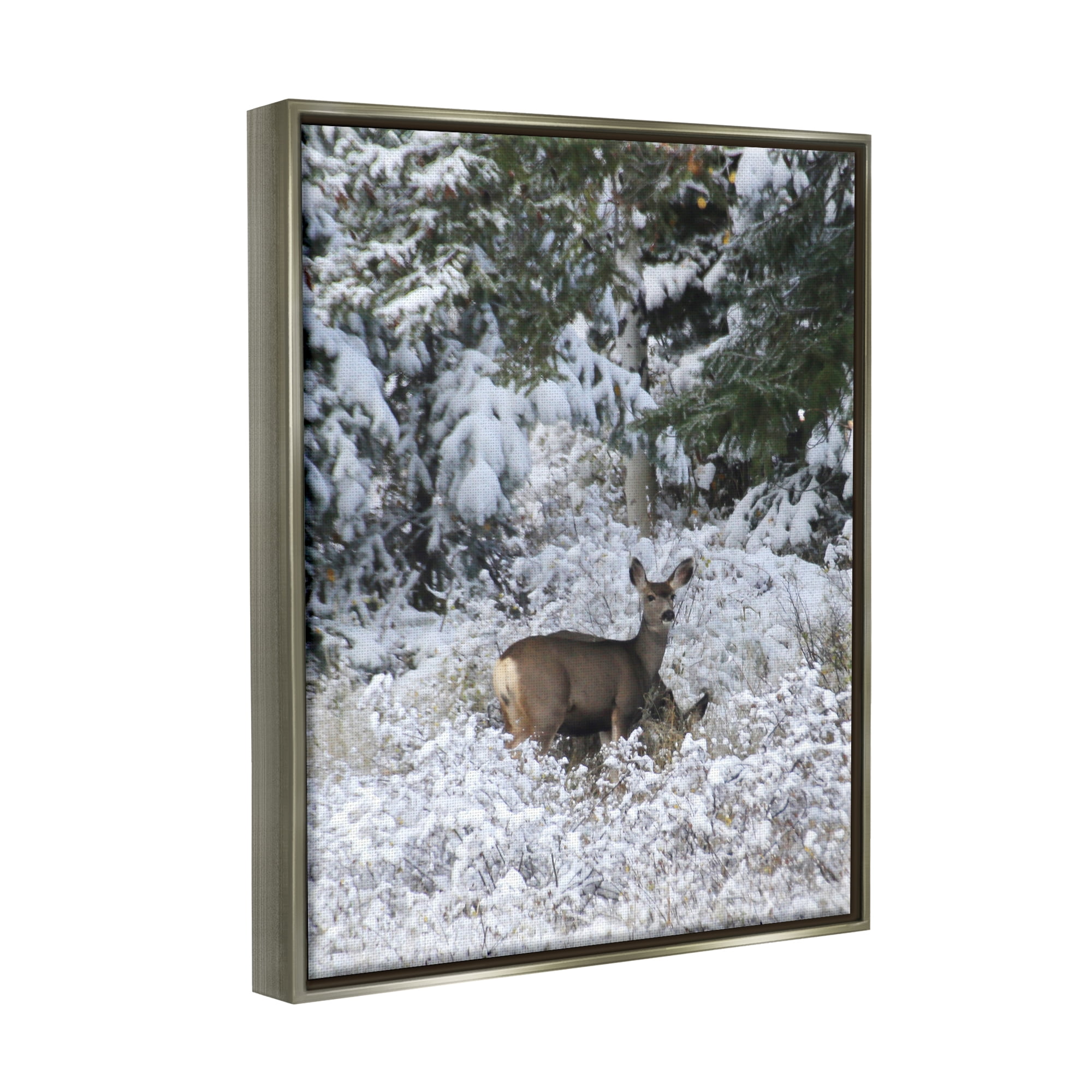 Stupell Industries Deer in Winter Trees Animals & Insects Photography Gray Floater Framed Art Print Wall Art, 25 x 31