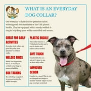 Country Brook Petz® Everyday Bright Red Nylon Dog Collar, Large
