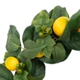 thumbnail image 5 of Northlight Lemon and Foliage Artificial Wreath, Yellow 22-Inch, 5 of 10