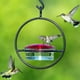 thumbnail image 1 of Comedero para colibríes, comedero circular colgante para exteriores, a prueba de hormigas y abejas, pájaros protectores de abejas (1 paquete), 1 of 5