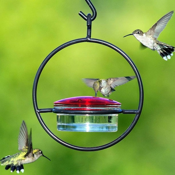 Comedero para colibríes, comedero circular colgante para exteriores, a prueba de hormigas y abejas, pájaros protectores de abejas (1 paquete)