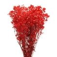 thumbnail image 3 of Secas bebés Aliento Flores 17 Pulgadas Rojo Natural bebés Aliento Ramas para Boda Fiesta Casa Decoración 1uds, 3 of 6
