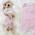 thumbnail image 5 of XXS Traje de recuperación para perros, camisa postoperatoria para cachorros, ropa protectora para heridas para animales pequeños, 5 of 5