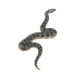 thumbnail image 5 of Juguete de Simulación de Animales Realistas Modelo de /Anaconda/Cangrejo/ Miniatura de Imaginación para Bebés Niños, 5 of 8