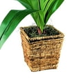 thumbnail image 5 of LCG Florals Artificial Plant, Dracaena, 2.83 ft, Woven Rattan Basket, 5 of 6