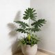 thumbnail image 4 of Decoración con plantas artificiales de hojas de plátano | Monstera deliciosa y filodendro artificiales | Decoración para interiores y exteriores: sala de estar, dormitorio y oficina., 4 of 6