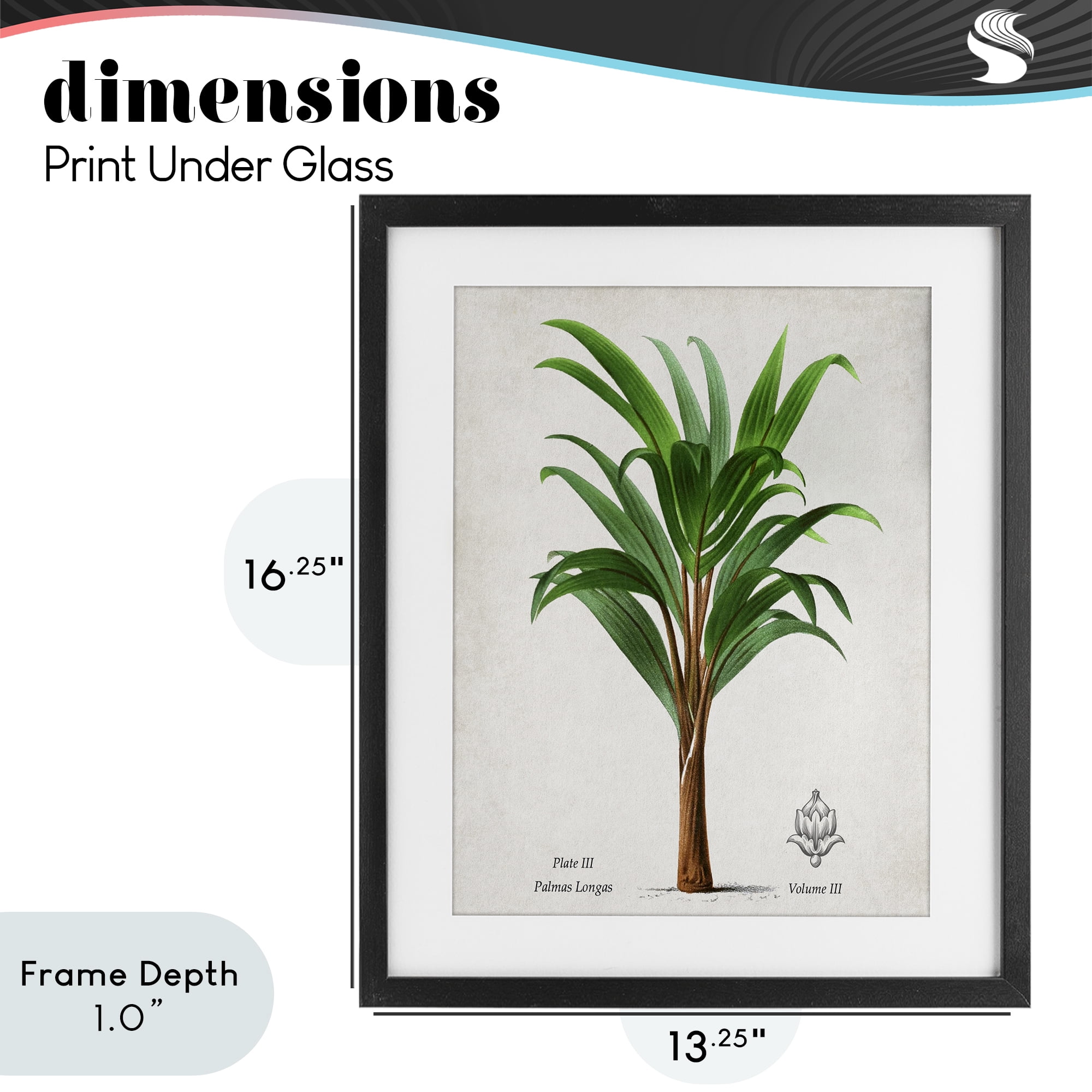 Stupell Industries Palmas Longas Palm Tree Black Framed Print Under Glass, design by Val Rhodes