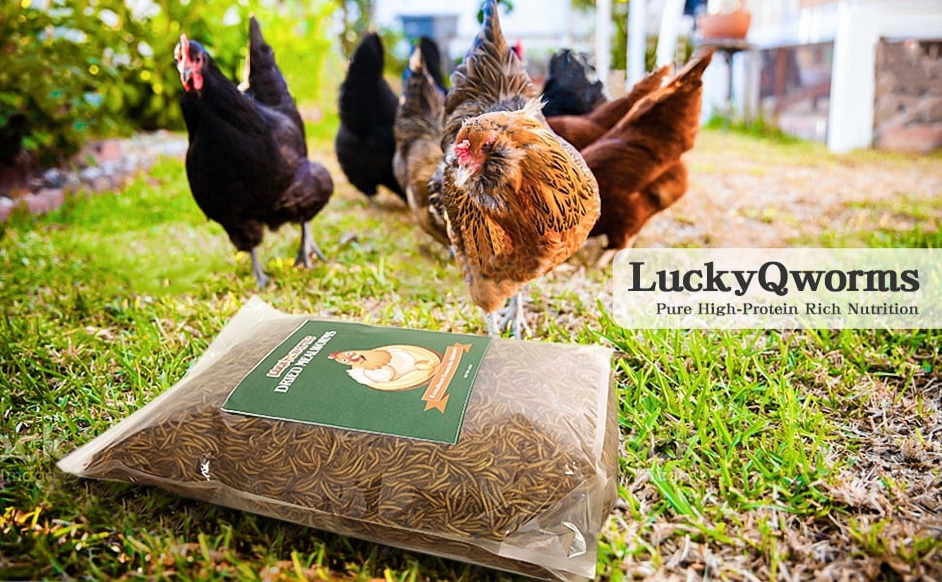 LuckyQworms Dried Mealworms 20 lbs – High Protein, Omega-3 Rich, Natural Feed for Birds, Chickens, Fish, Poultry, Reptiles, Rodents, Small Pets