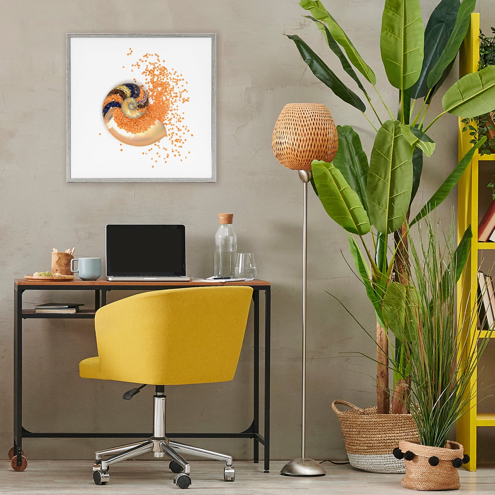 Stupell Industries Orange Nautilus Spiral Gray Framed Giclee Art, design by Beth Adoette
