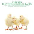 thumbnail image 2 of BRIGHTFUFU Anillos de marcado de pollo de 100 piezas Bandas de identificación de pie de pollo loro numeradas (verde), 2 of 7