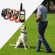 thumbnail image 4 of Collar de entrenamiento para perros con 3 modos de entrenamiento, recargable, resistente al agua IPX7 con 2x naranja 1x negro, 4 of 9