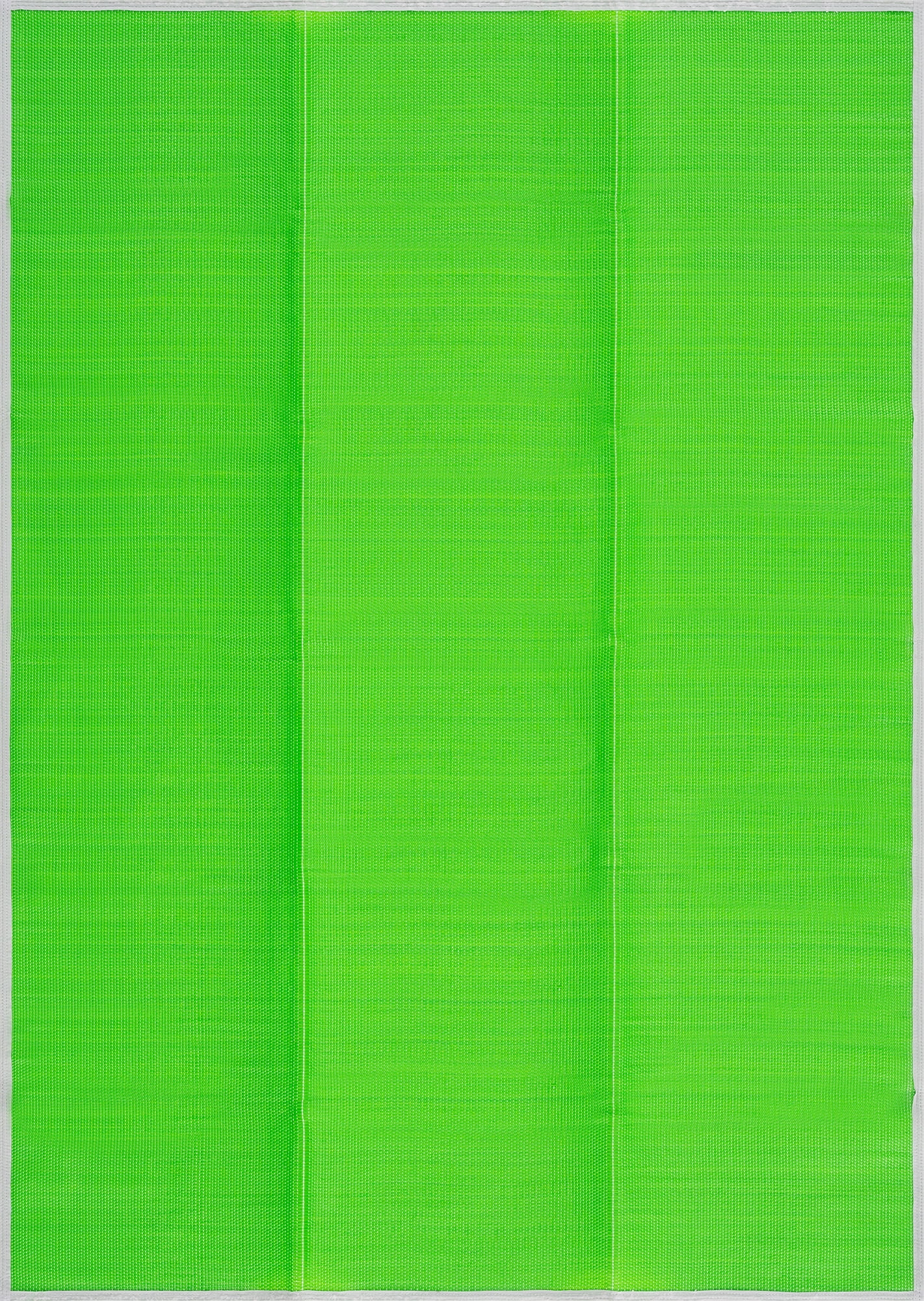 Luna Contemporary Solid Green Polypropylene Reversible Plastic Straw Outdoor Area Rug, 9'x12' Rectangle
