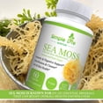 thumbnail image 2 of Simple Life Nutrition Organic Irish Sea Moss Capsules, 2 of 6