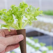 Grow Sponges Replacement Pods for Efficient Hydroponic Indoor Garden Cultivation System
