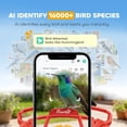 thumbnail image 4 of PawHut Smart Bird Feeder with 2K HD Camera, Bird Feeder Camera AI Identify, 4 of 10
