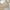 Khaki, variant on CHUOU Girls Summer Fashion Waist Tennis Pleated Slim Skirt Casual Mini Waist Skirt Fashion High Skirt,2 Years-4 Years