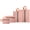 Pink, variant on Packing Cubes 4 Set for Travel Organizer Bags Suitcases Lightweight Luggage Packing Organizers for Travel Accessories, Portable Shower Mesh Caddy Bag, Quick Dry Toiletry and Bath Organizer