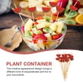 thumbnail image 4 of 100Pcs Convenient Food Picks Portable Fruit Picks Household Martini Picks Party Accessory, 4 of 9