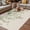 Forest Green, variant on Sage Green Eucalyptus Outdoor Rug for Patio/Deck/Porch, Non-Slip Large Area Rug 6 x 9 Ft, Summer Spring Weeping Leaves Botanical Indoor Outdoor Rugs Washable Area Rugs, Camping Rug Carpet Runner