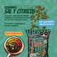 thumbnail image 3 of 12 Pack Edamames Sal y Cítricos (30g), 3 of 4