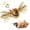 Brown Sparrow, variant on TETOU Cat Toys for Indoor Cats,Flapping Bird Rechargeable Touch Activated Toy Interactive Kitten Exercise Toy Cat Kicker Catnip Toys (No Flying)